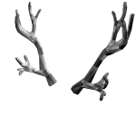 Silverthorn Antlers